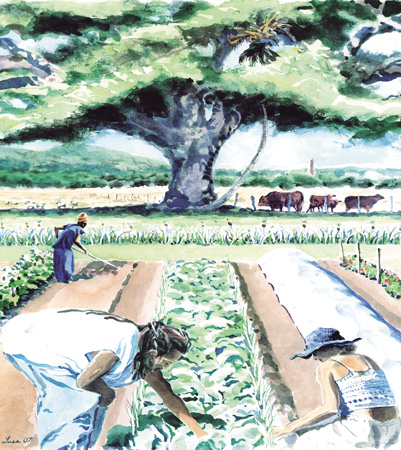 2007 AGRIFEST Poster