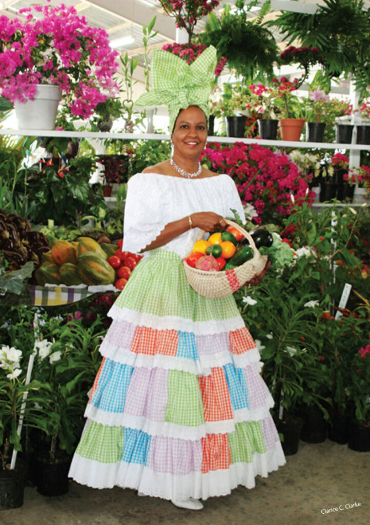 2008 AGRIFEST Poster